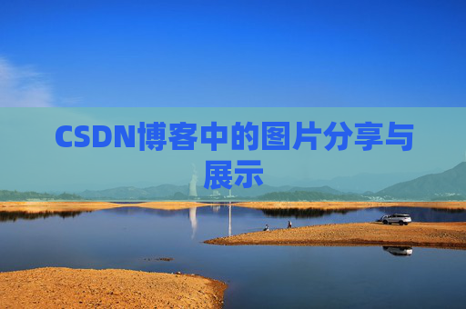 CSDN博客中的图片分享与展示